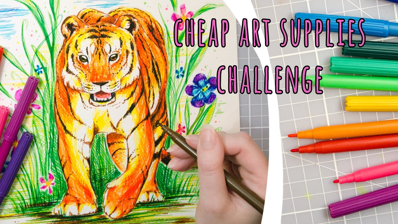 CHEAP ART SUPPLY CHALLENGE - Markers (Water based)
