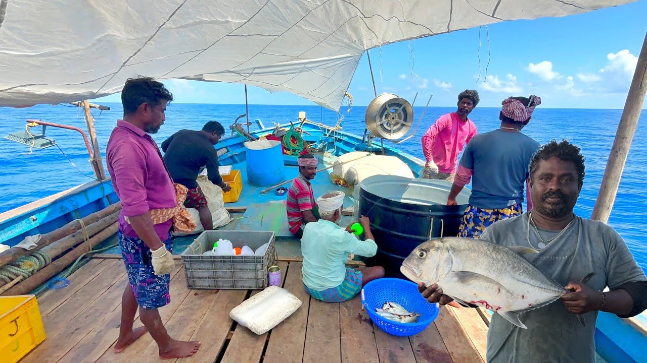 Second Day Downhearted Day 300 Hook 🤩 Line Fishing in Deep Sea