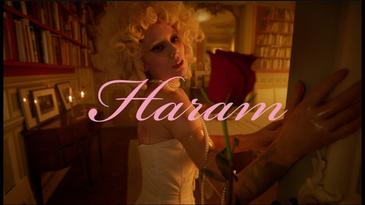 Dakooka - Haram (official video)