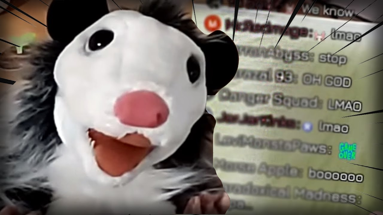Pippassum Broke Everyone In Chat With Her Jokes...【Pipkin Pippa Ch. | Phase Connect】