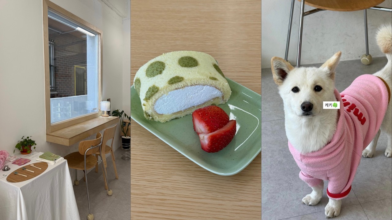 [vlog] 명절 주간 1박2일 여수 여행💡꽃돌게장 • 모이핀 • 아쿠아플래닛 • 갓버터도나스 • 돌문어상회 • 윤심이네 • 케키옹🍰