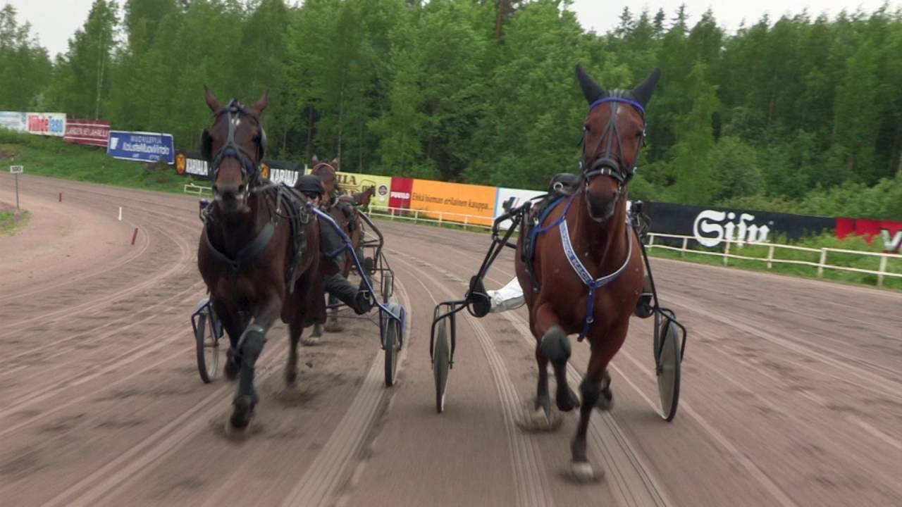 Hevosalan koulutus | Koulutuskeskus Salpaus