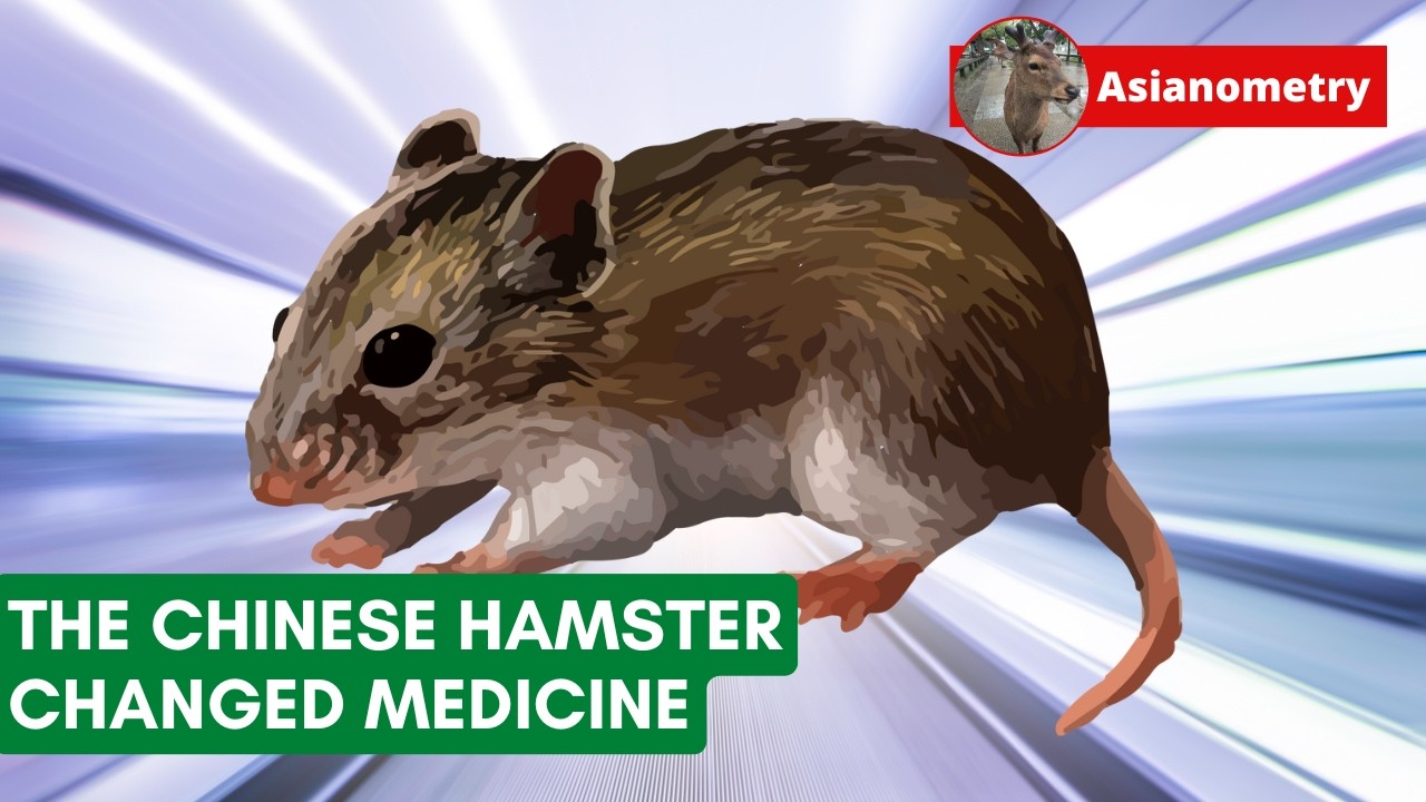 The Chinese Hamster Revolutionized Medicine