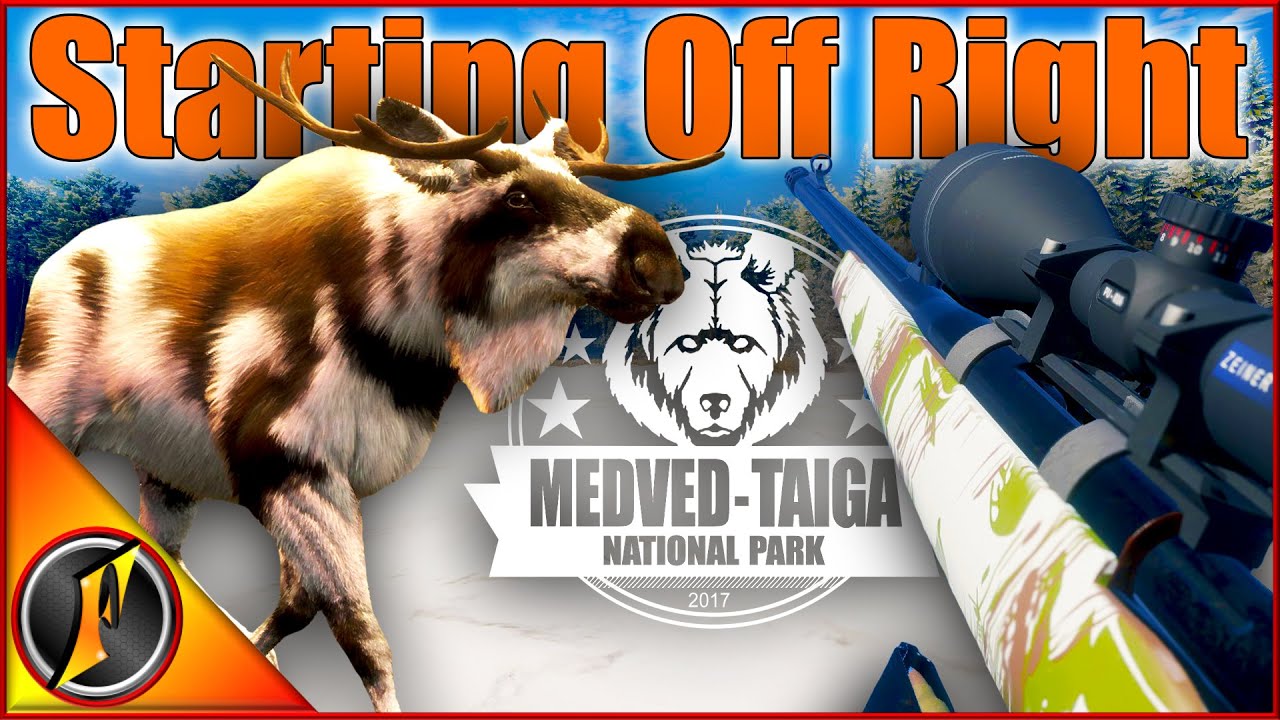 Starting Our Moose Grind Off Right! | Piebald Bull Moose!
