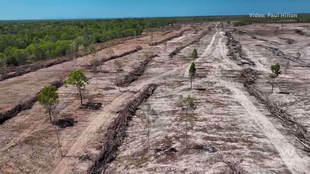 Deforestation near Townsville in the Great Barrier Reef catchment, Queensland, 2025