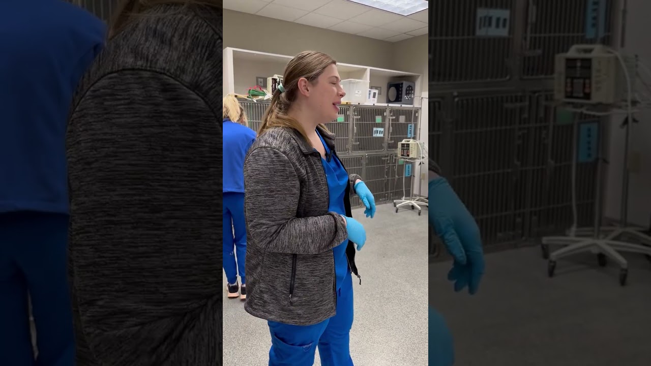 IndyVet | A Daily Look Inside the Life of a Veterinary Intern