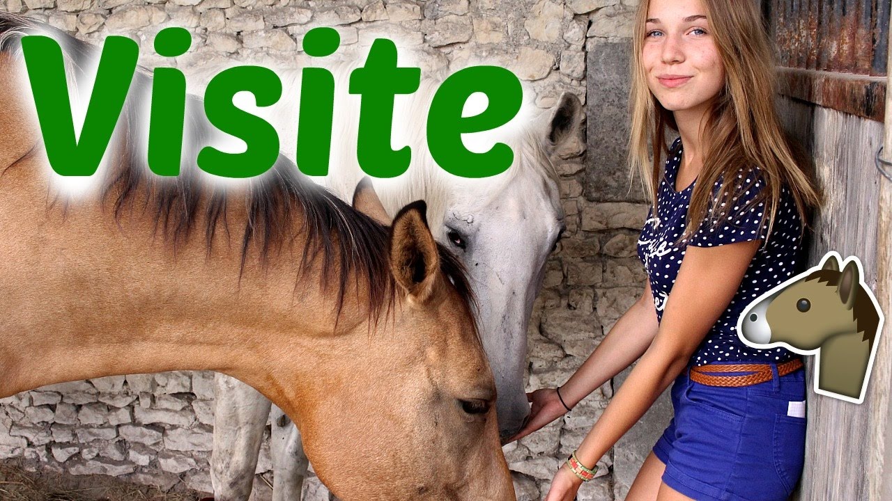 Visite : Notre écurie