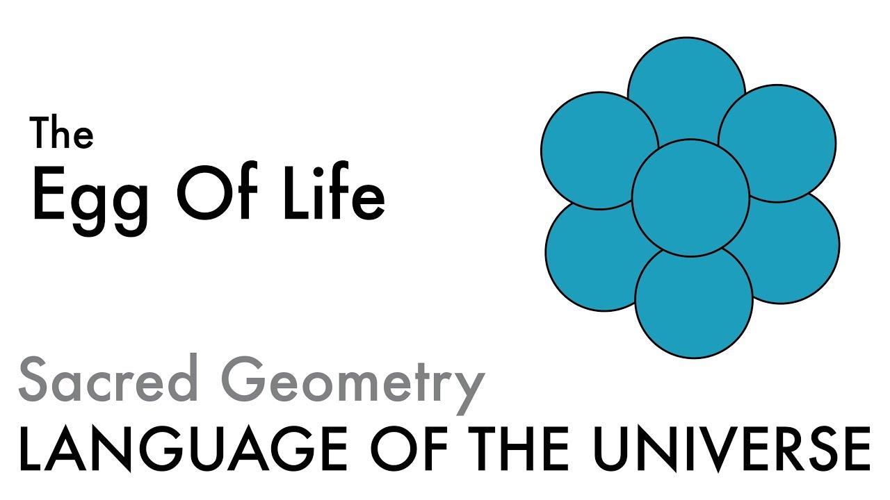 The Egg Of Life - Sacred Geometry