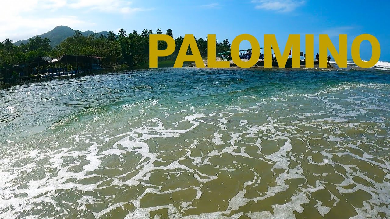 Entre el Río y el Mar, SANTA MARTA a PALOMINO en BICI al MAR Etapa 10 🚴