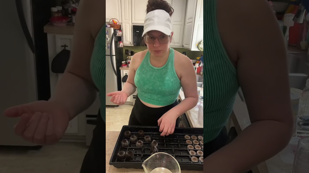 Germinating peppers and onions 