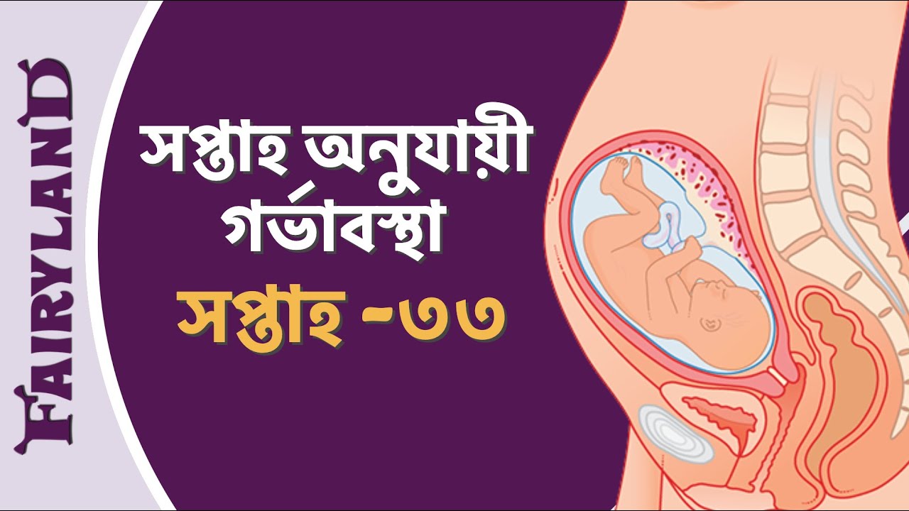 গর্ভাবস্থার তেত্রিশ তম সপ্তাহ | সপ্তাহ অনুযায়ী গর্ভাবস্থা | সপ্তাহ ৩৩