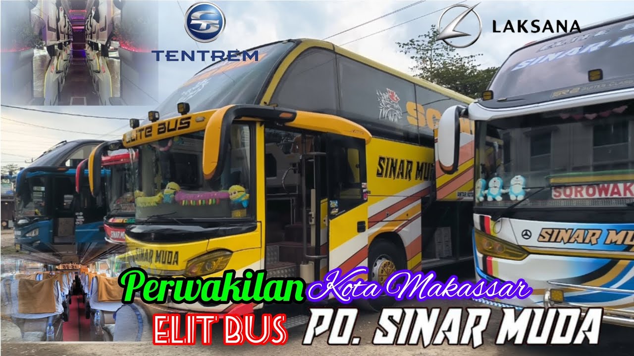 BUS SINAR MUDA🚍‼️BUS ELIT DENGAN TARIF EKONOMIS TRAYEK AKDP SULAWESI SELATAN 😎