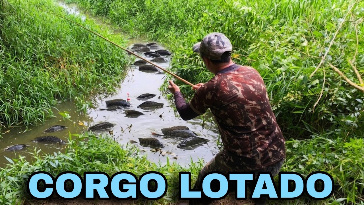 Não sabia nem o que fazer!!! 😱