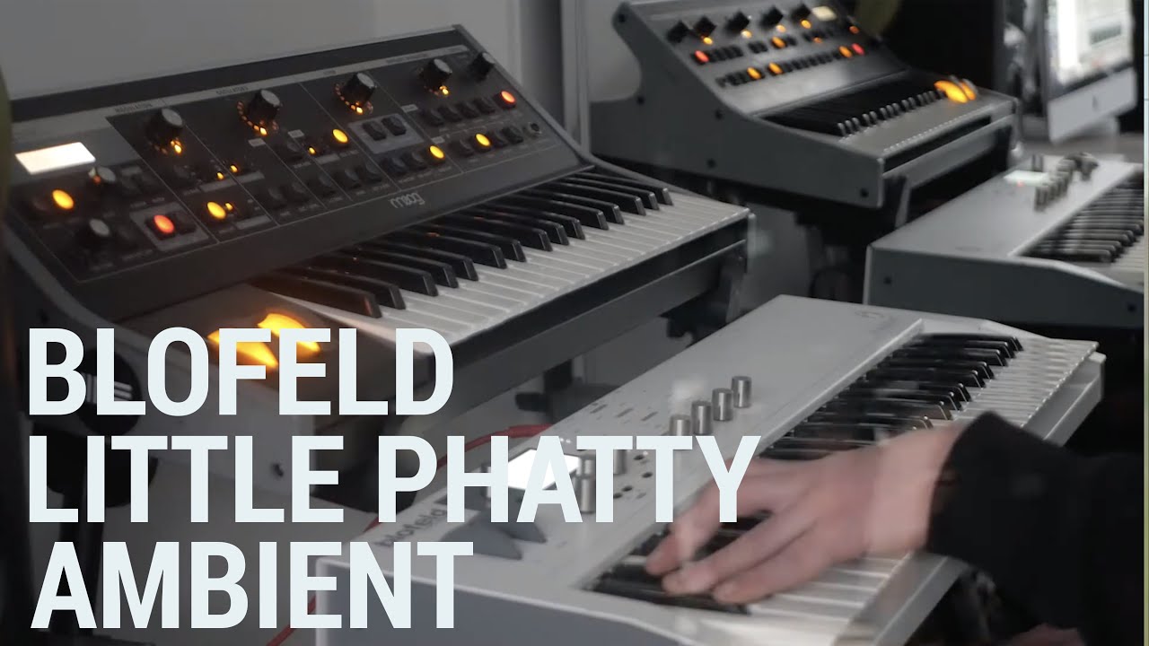 Waldorf Blofeld / Moog Little Phatty | Ambient