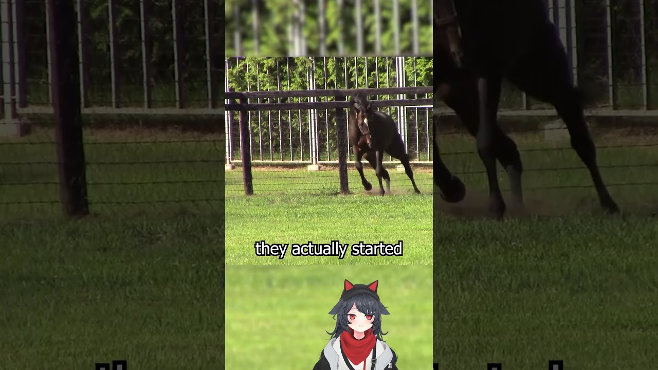 Umamusume Lore You Didn't Know: Kitasan Black's Boot Camp