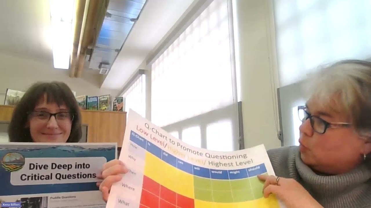 Questioning Posters- Why and How?