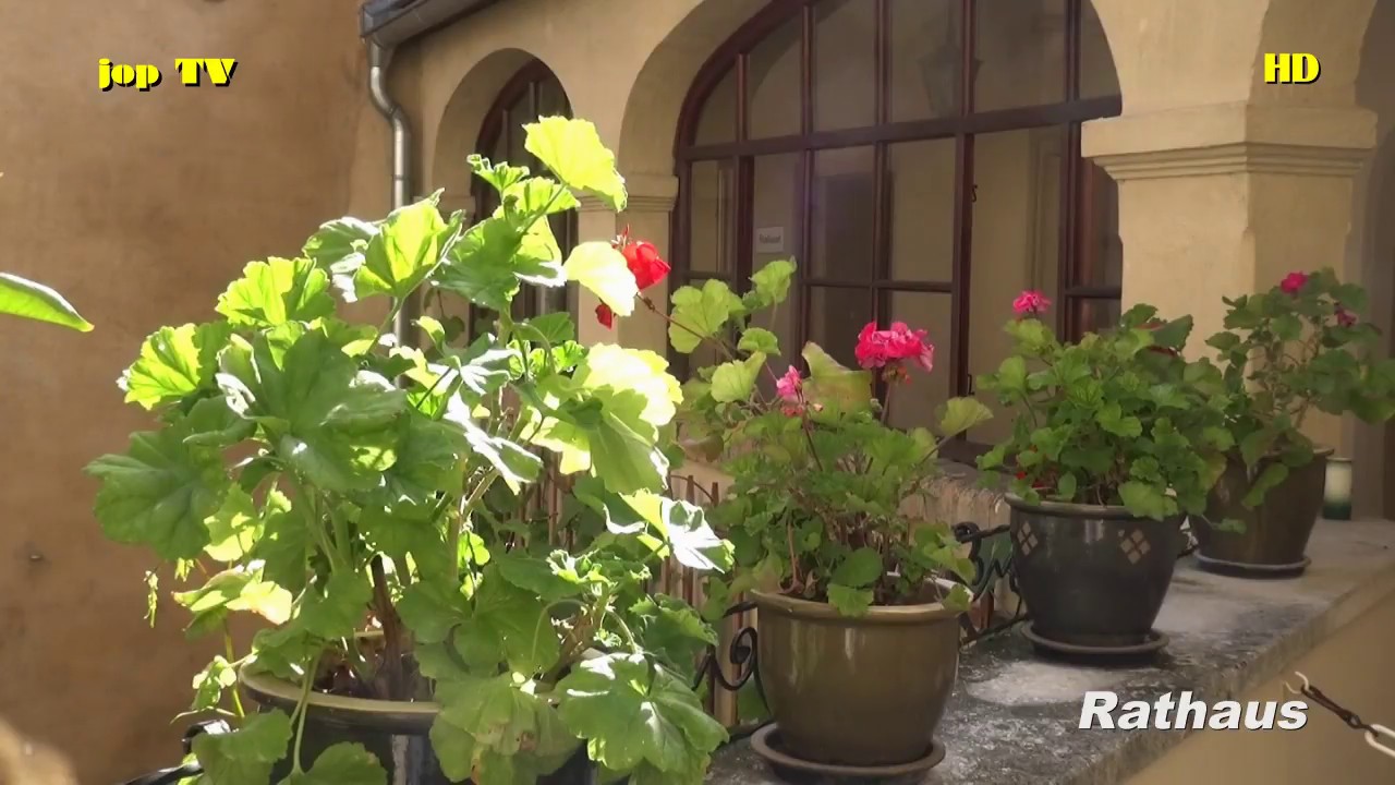 Besichtigung des Schloss Hotel D&uuml;rnstein und Rathaus D&uuml;rnstein (Nieder&ouml;sterreich) jop TV Travel