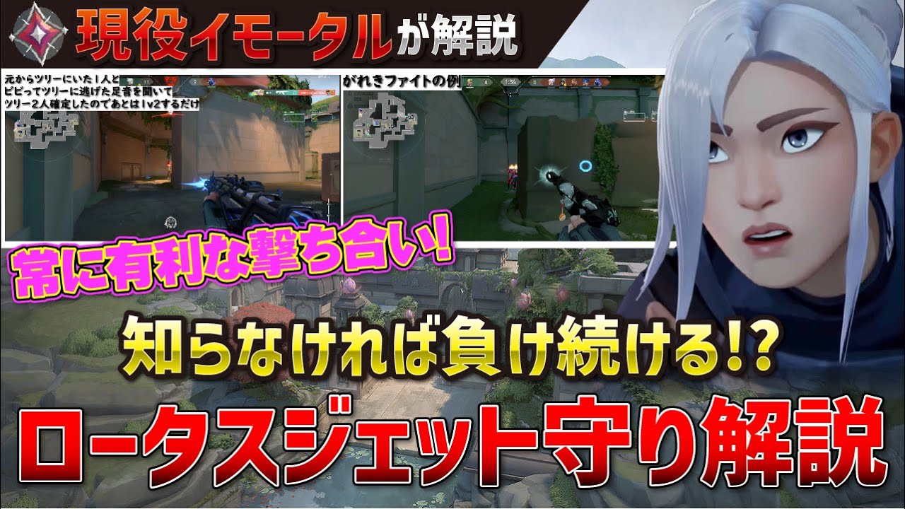 【ロータス守り】見る見ないで強さがひっくり返ります