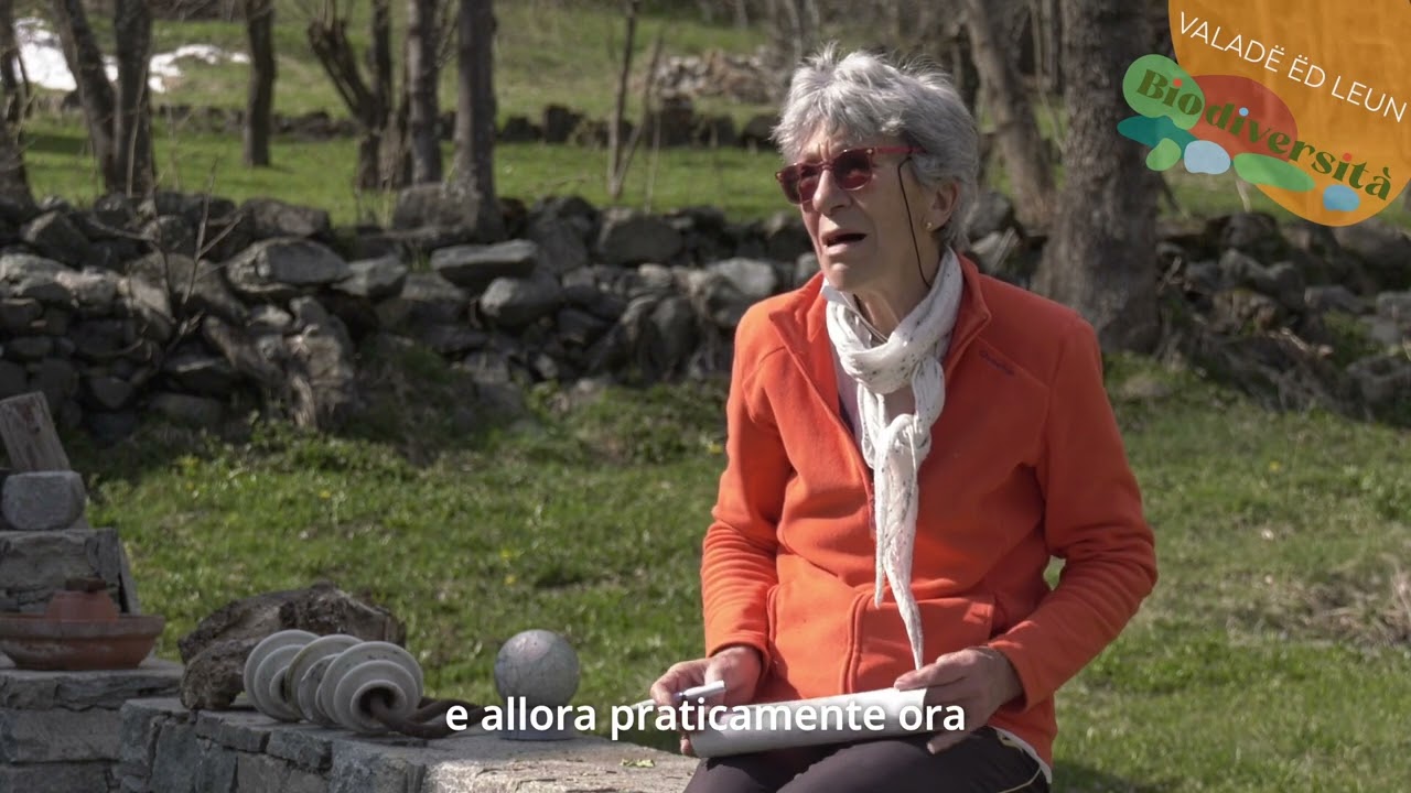 Biodiversità nelle Valli di Lanzo_Valle di Viù_13_Trote