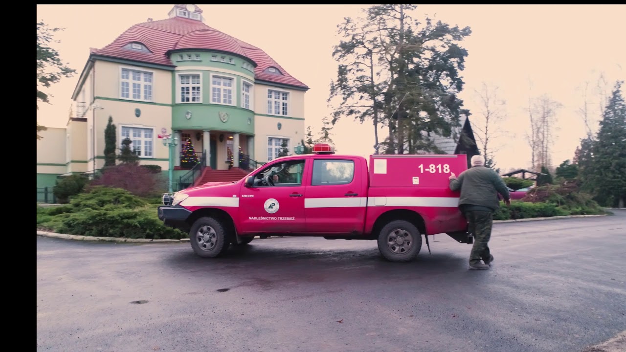 FILM NADLEŚNICTWO TRZEBIEŻ