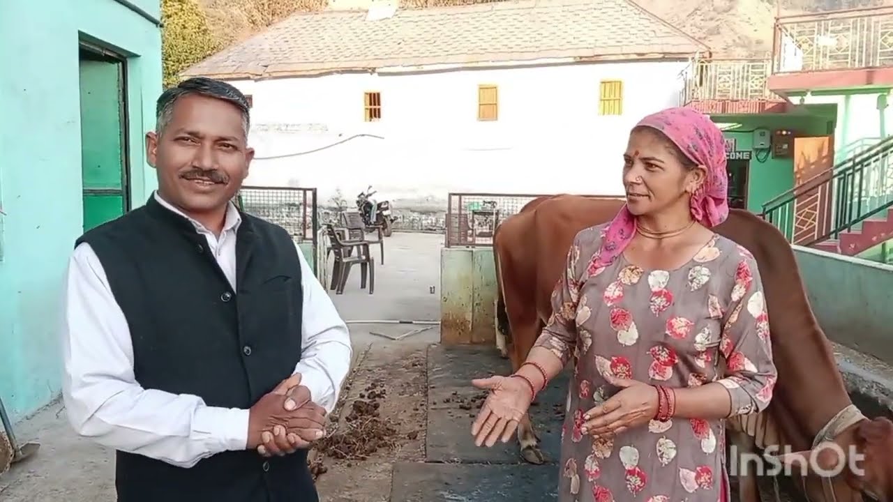 हर किसी के बस की बात नहीं हैअच्छी क्वालिटी के पशु की पहचान करना बातों 2में हो गया सौदा#hp tulsi devi