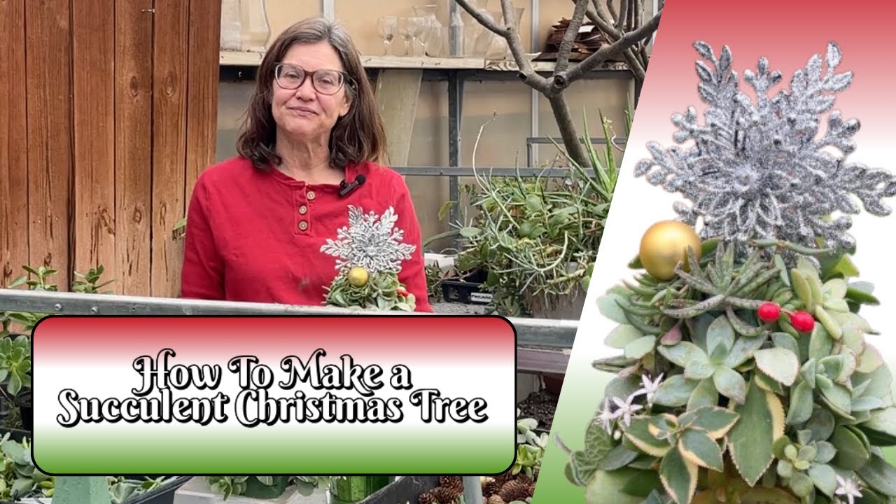 How To Make a Succulent Christmas Tree