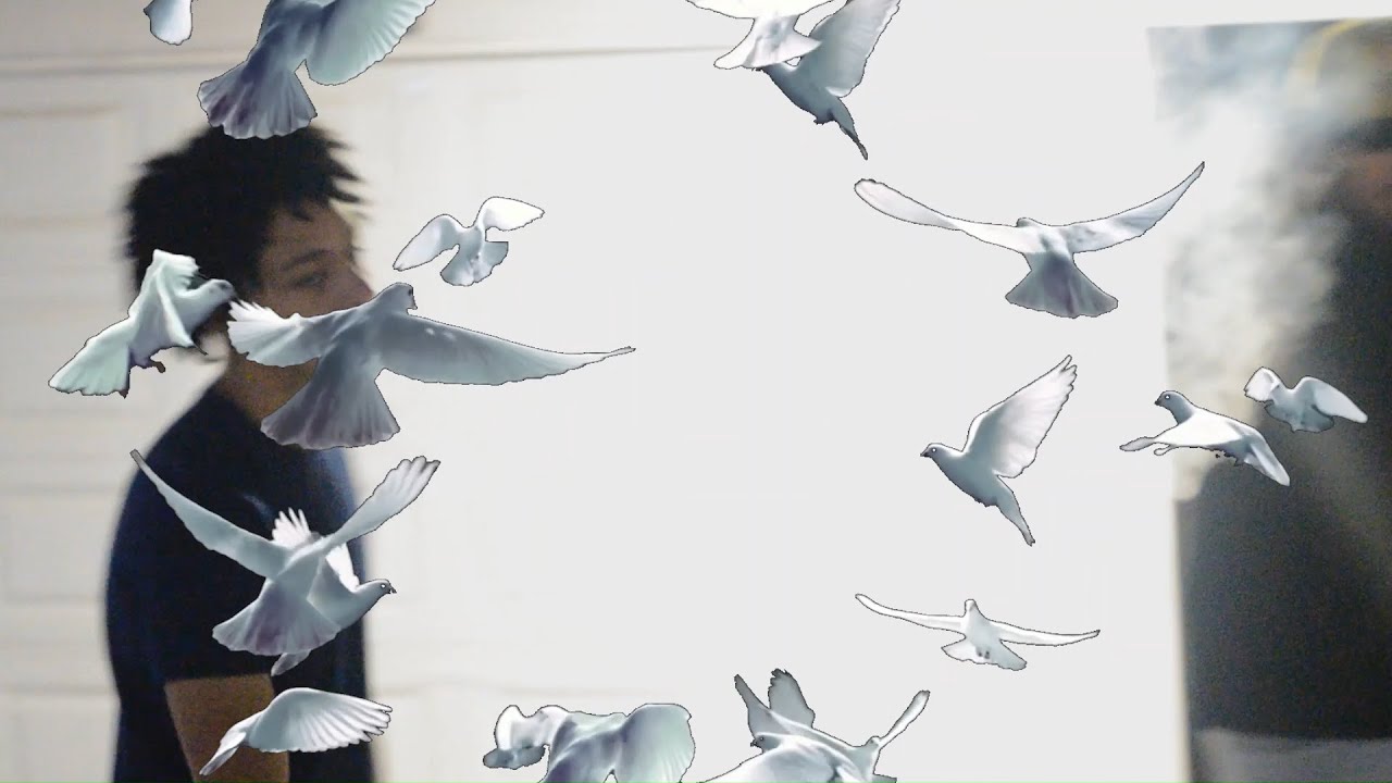 X6VISION - Doves
