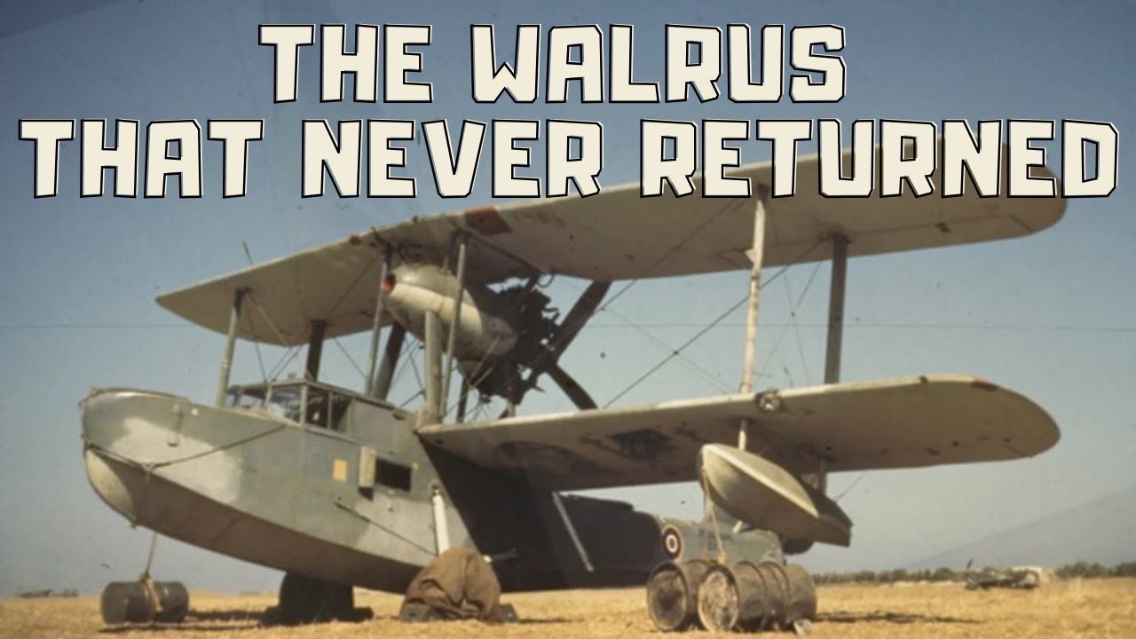 THE WALRUS THAT NEVER RETURNED  WHAT WENT WRONG