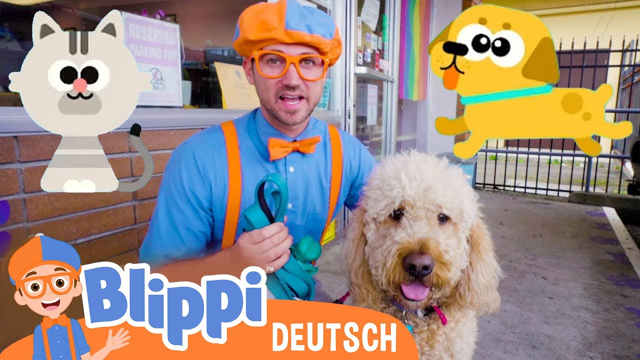 Blippi besucht das Tierheim | Blippi Deutsch | Abenteuer und Videos für Kinder
