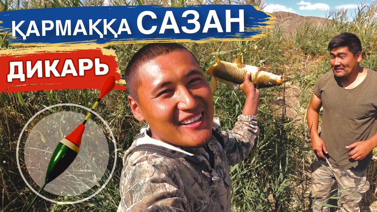 Неге сазандар осылай істейді? Дикий САЗАН на ПОПЛАВОК