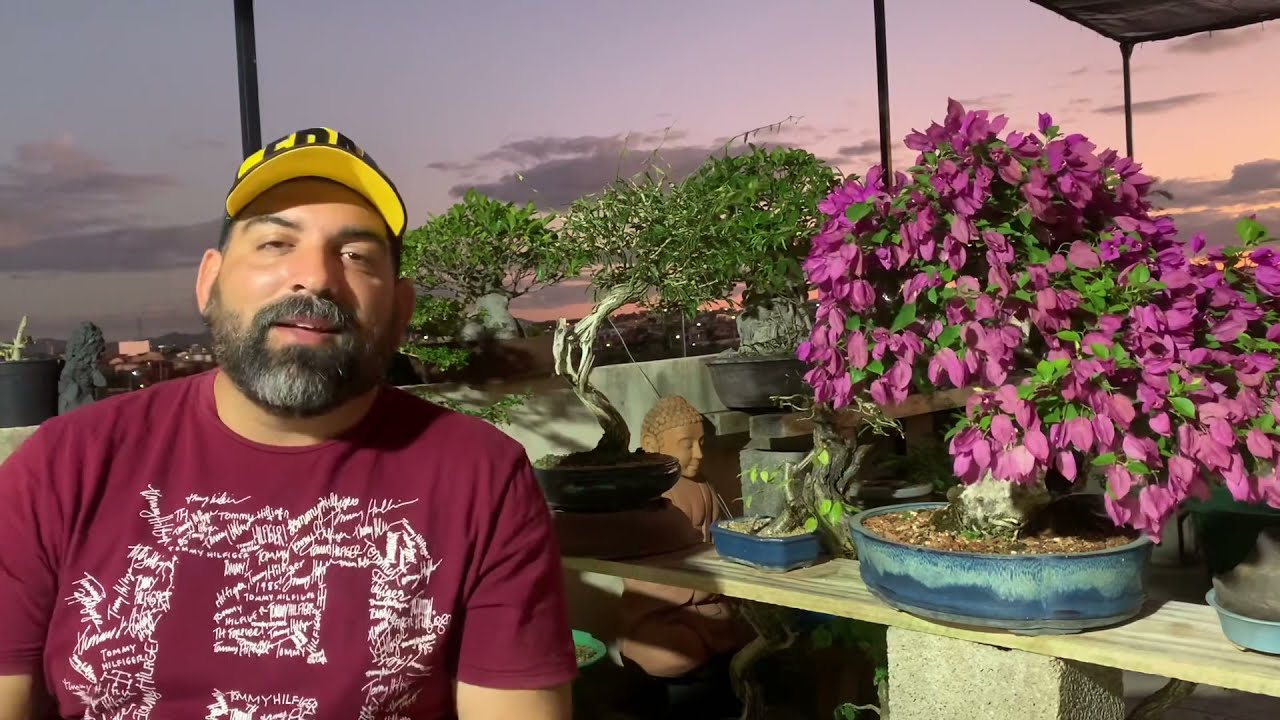 Arnaldo Santos e seu Viveiro de Bonsai