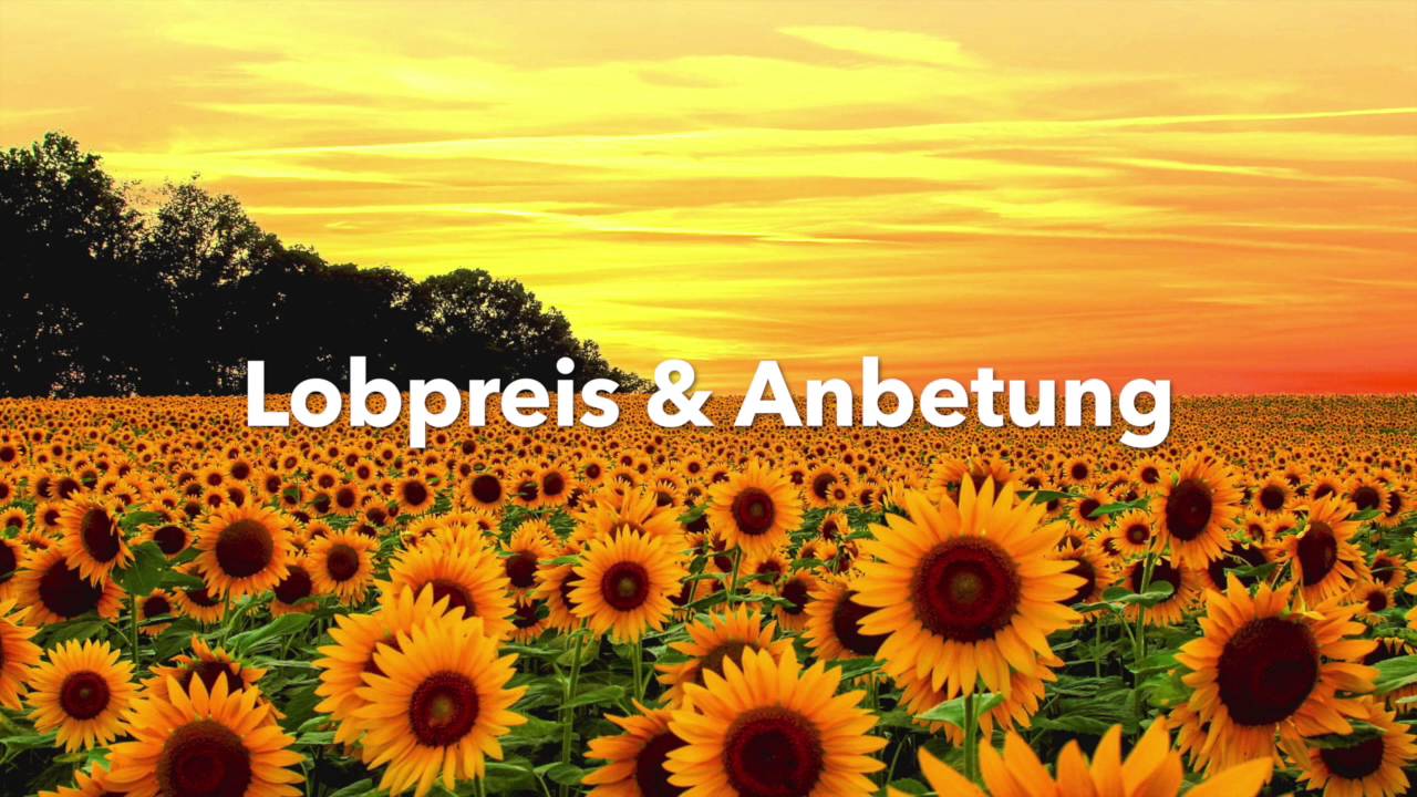 Lobpreis & Anbetung (Deutsch)