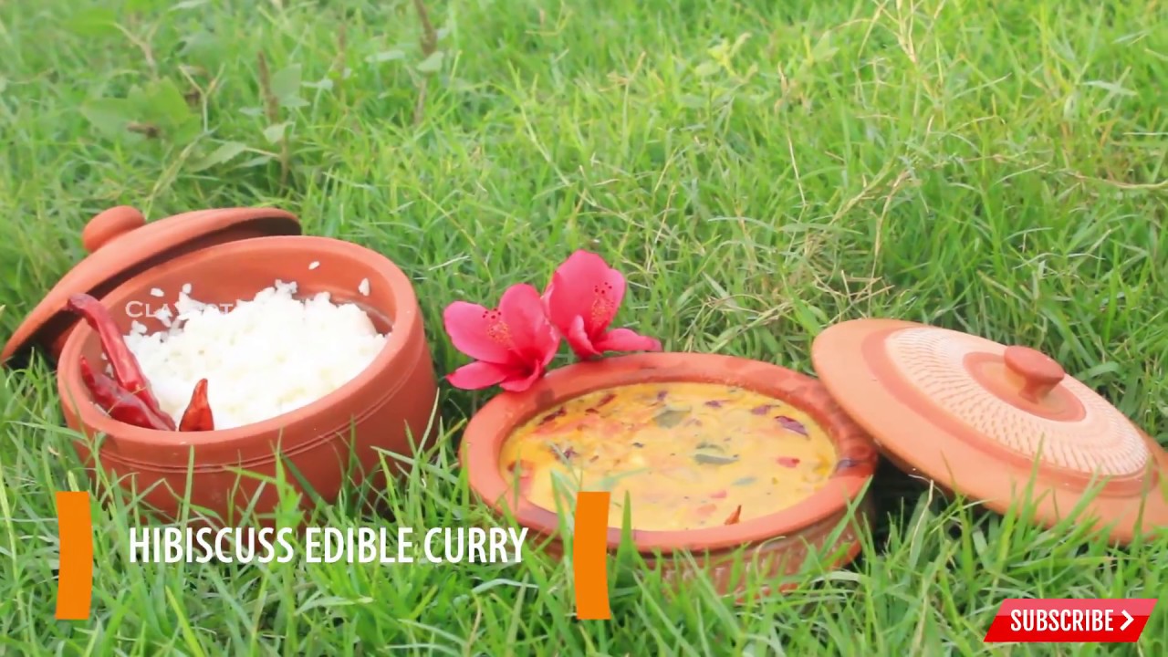 Hibiscus edible curry | Tastiest Hibiscus curry | Eatable flower recipe | CPK 02 [English]