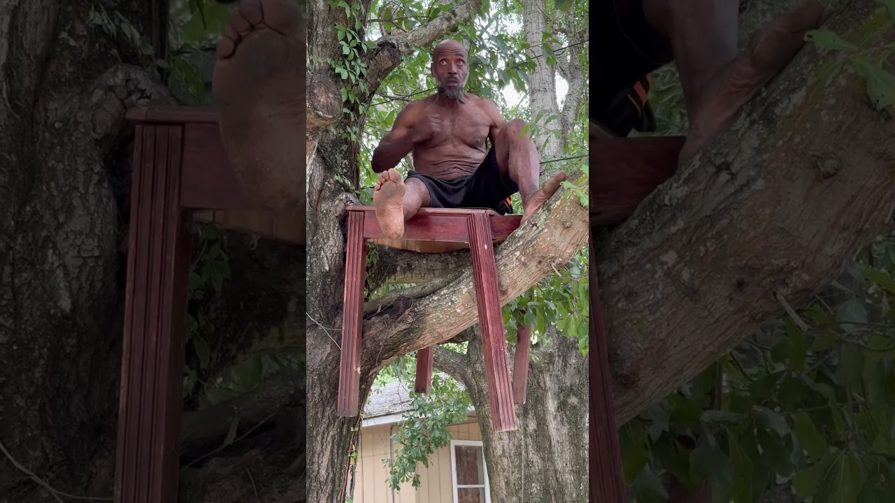 Oo In A Tree 🌳 Wow 😮😮 #viral #funny #onebossmanpodcast #comedy #subscribe #funny #share