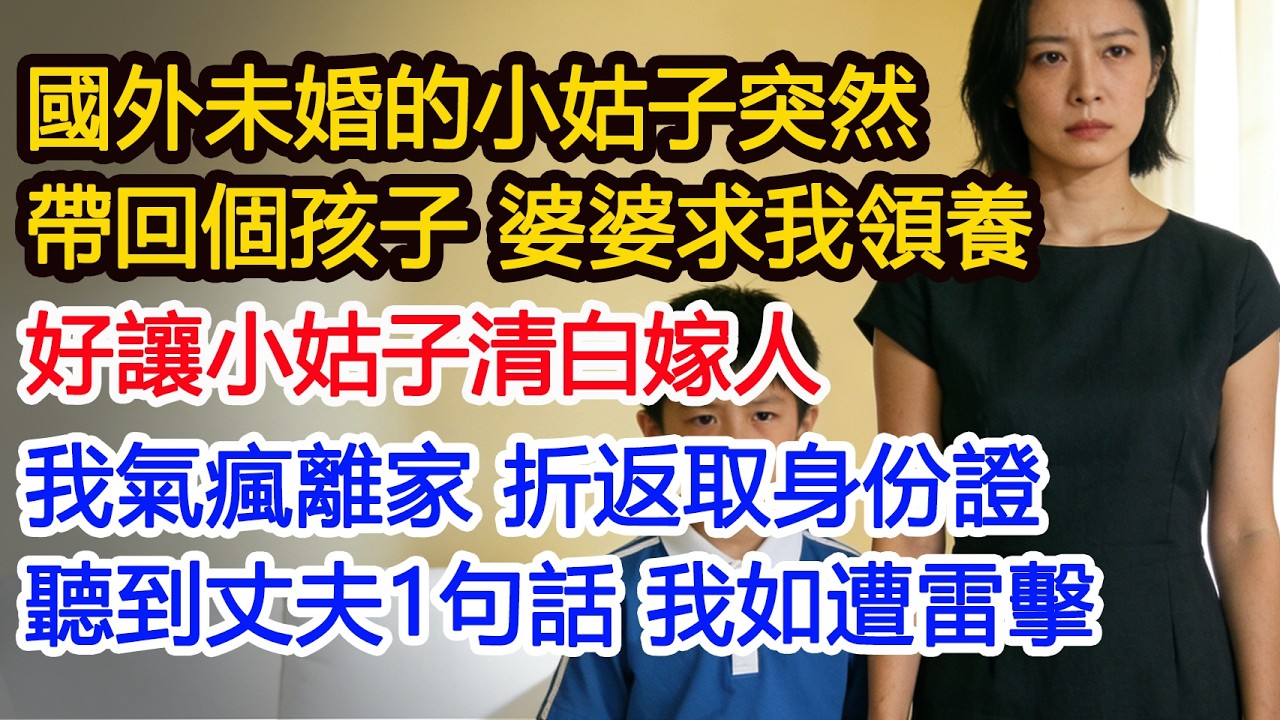 國外未婚的小姑子突然帶回個孩子 婆婆求我領養好讓小姑子清白嫁人我氣瘋離家 折返取身份證聽到丈夫1句話 我如遭雷擊#為人處世 #正能量 #故事分享 #生活經驗 #情感