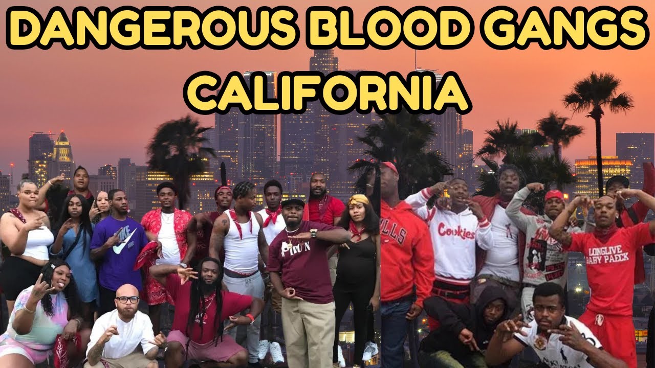 Dangerous Blood Gangs in California: Inside the World of LA’s Most Notorious Blood & Piru Sets