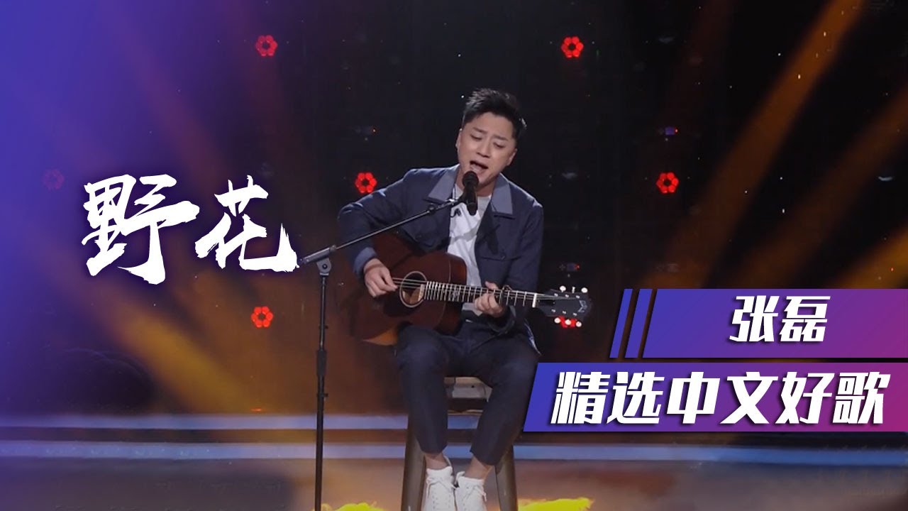 张磊深情演唱《野花》这个嗓音听一次就爱了！ [精选中文好歌] | 中国音乐电视 Music TV