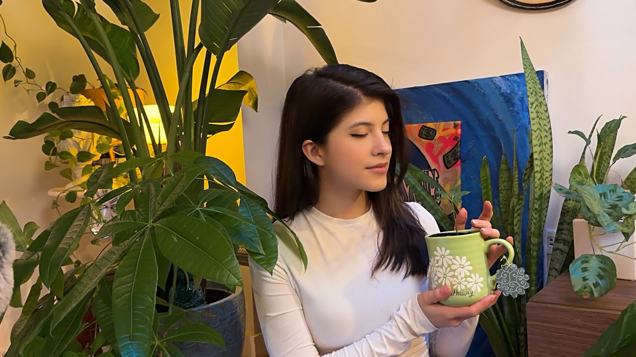 ASMR Un día con la chica loca de las Plantas 🌱(susurros, afirmaciones, soft spoken rambling)