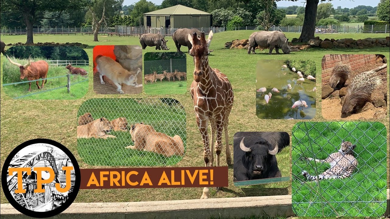 Africa Alive! Suffolk: 2021 Tour of the Animals & Review Vlog