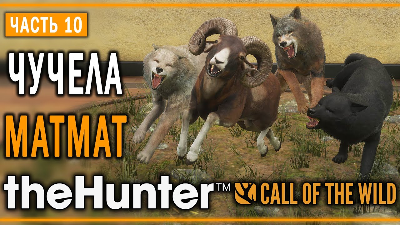 theHunter Call of the Wild #10 🐺 - Оскаленные Клыки - Кoмпозиции из Чучeл