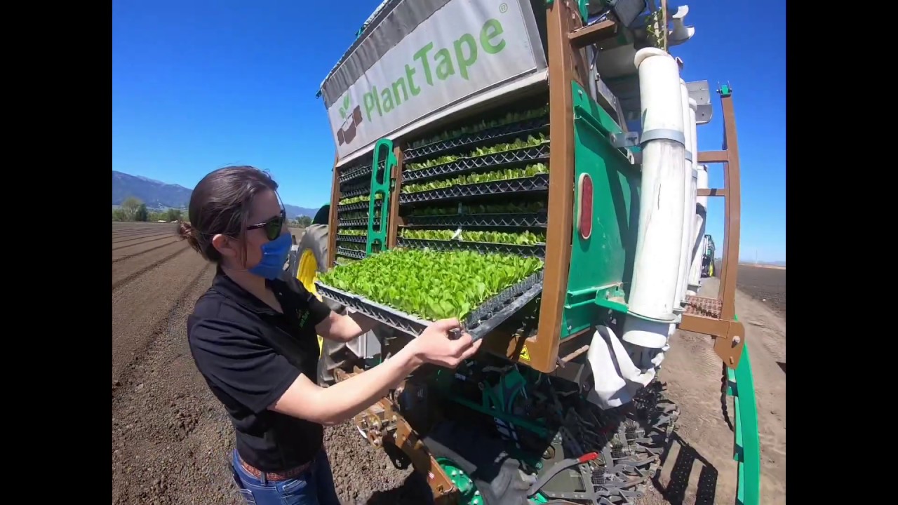 PlantTape Transplanter Set Up - Loading Plants