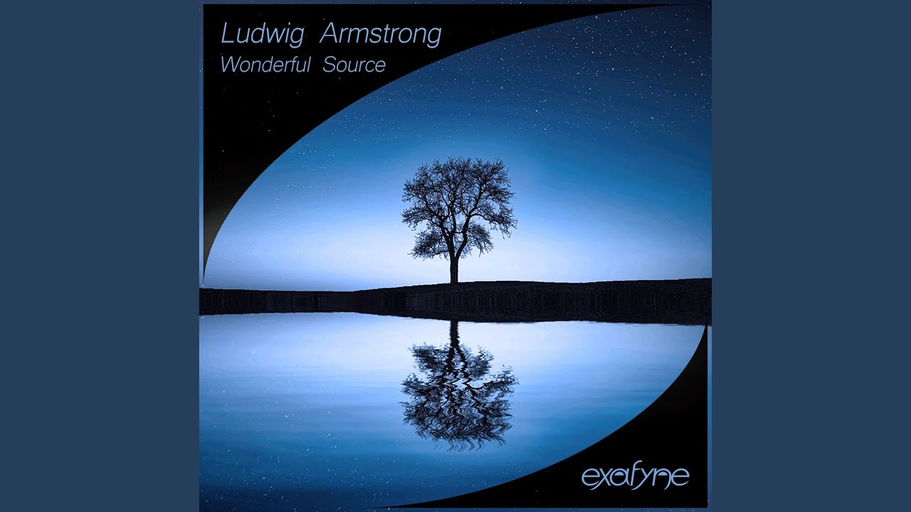 Wonderful Source (Original Mix)
