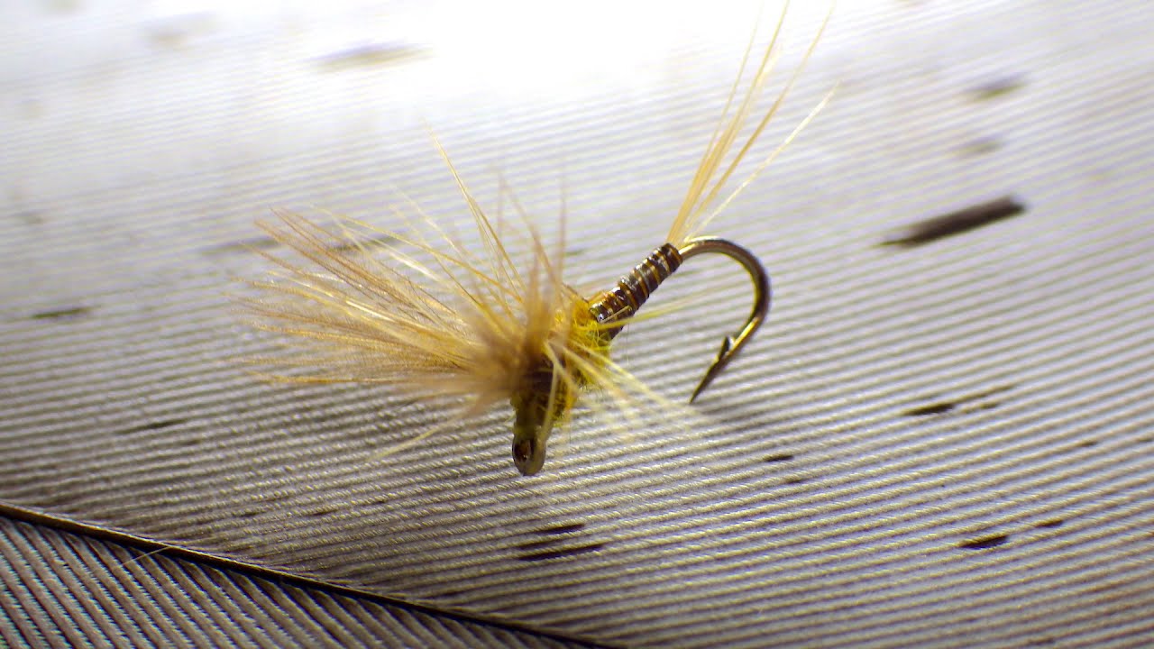 Tying the Paraloop Winged Dry Fly with Davie McPhail