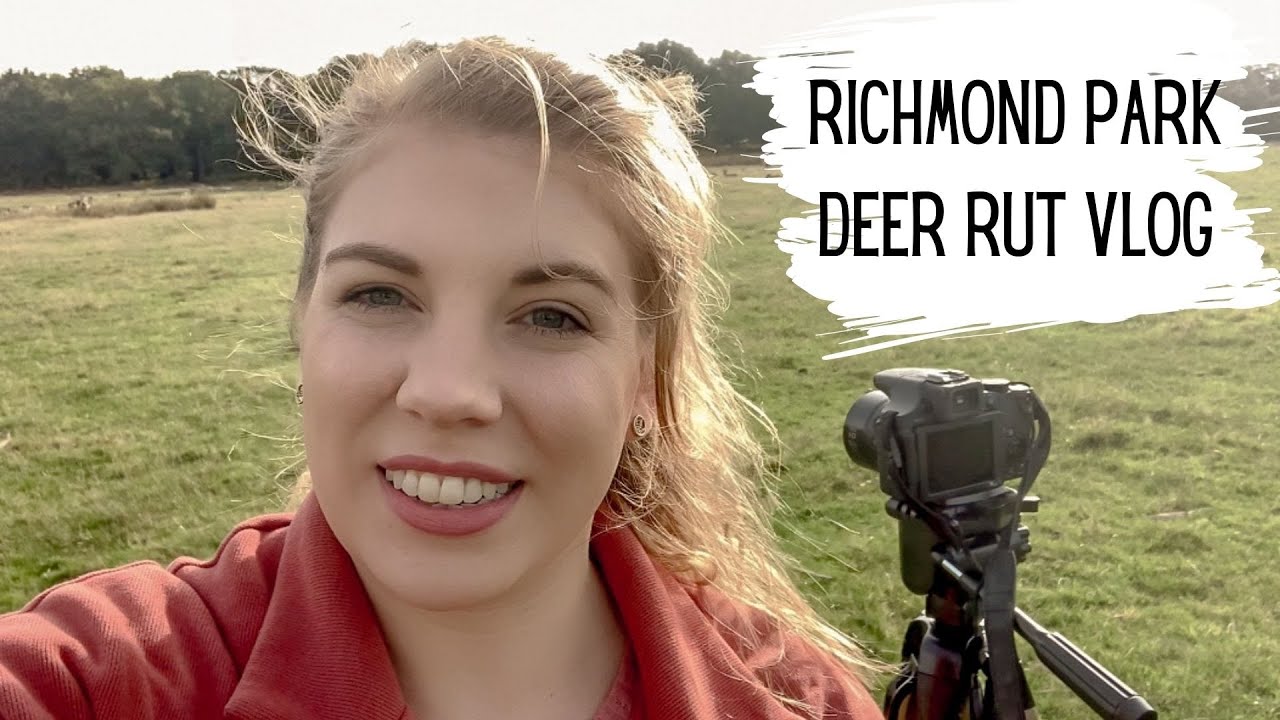 Richmond Park Deer Rut Vlog 2020 - London wildlife | deer fights | explore London’s Autumn season