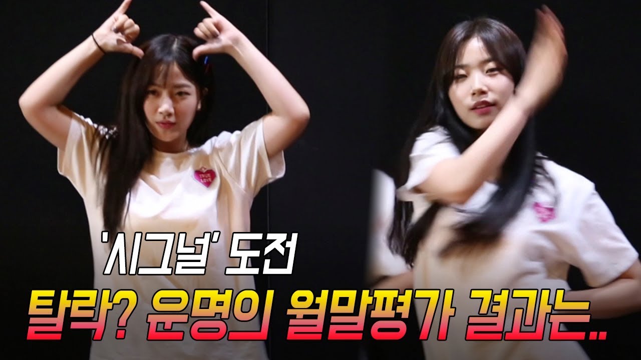 운명의 월말평가.. 트와이스 ‘시그널’ 커버 결과는?? [자양동 하트뿅♥ 12화]