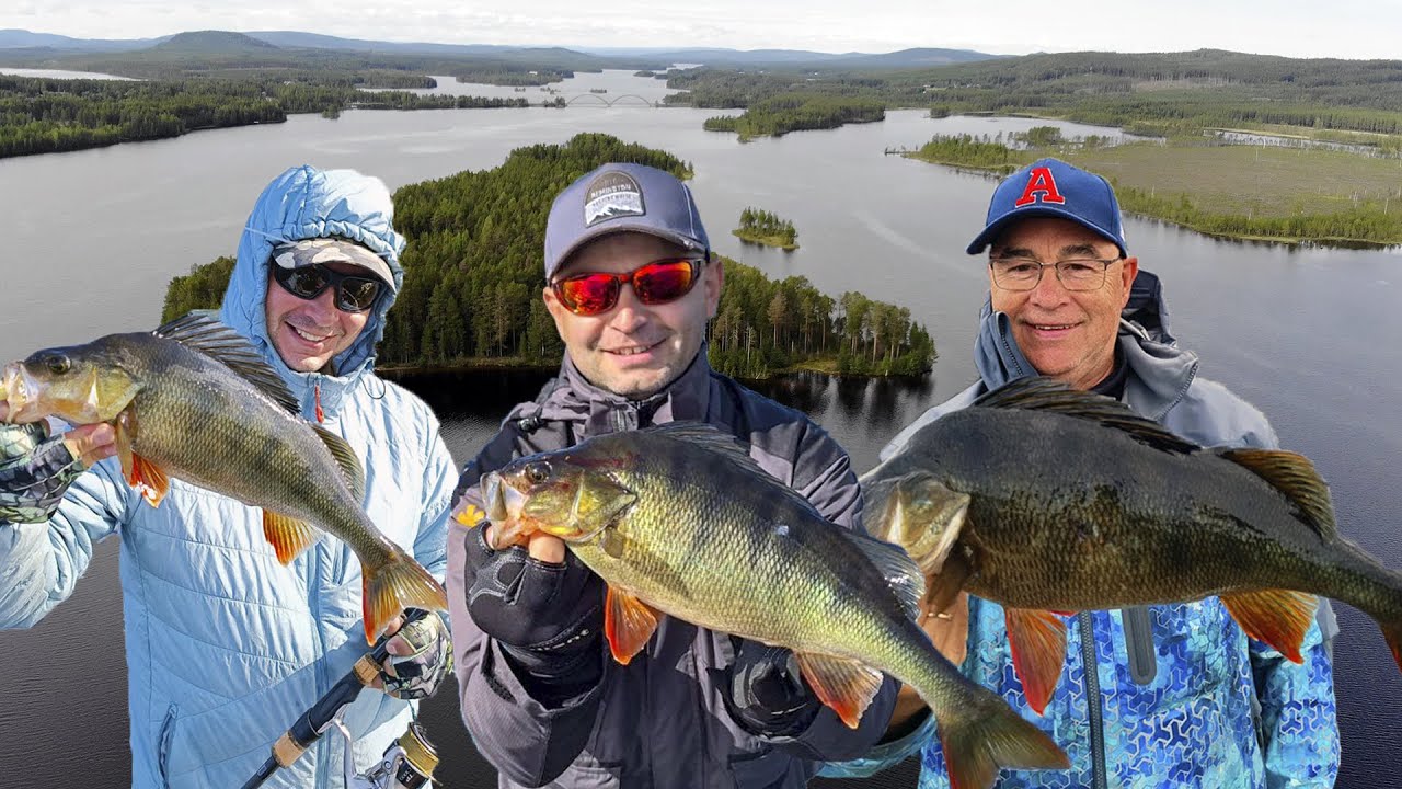 Storuman : Лето  - Часть первая | Дорога | Поиск и ловля крупного окуня