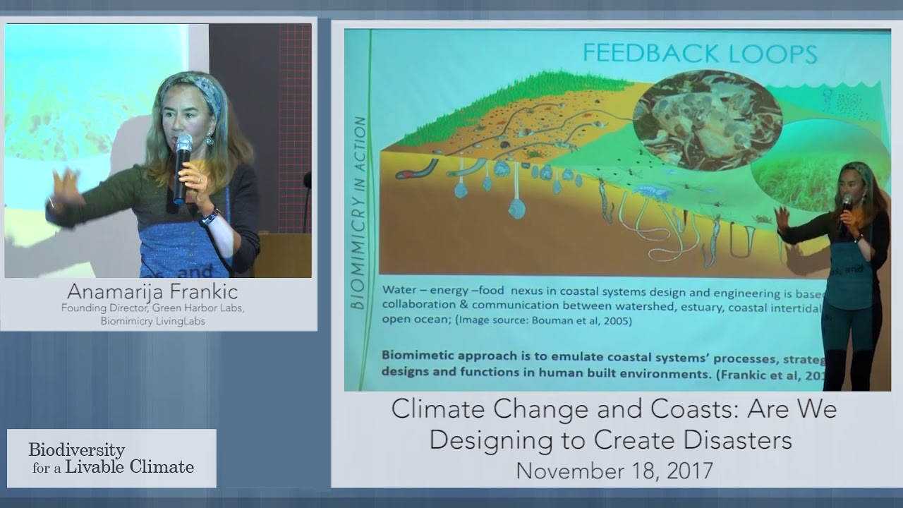 Climate Change and Coasts- Are We Designing to Create Disasters? with Anamarija Frankić