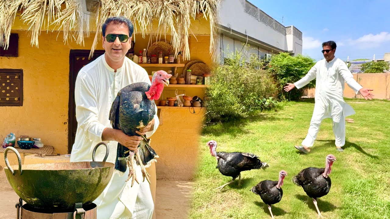 New Kitchen Mei Turkey Bird Bna Lia||How to Cook Turkey Bird Karahi?