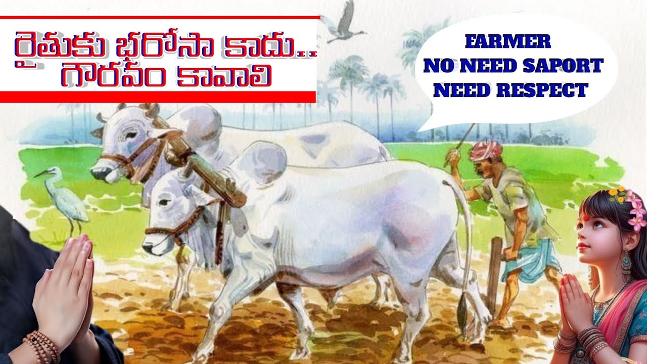 Respect farmar🙏🏼#raithanna #రైతు #సమాజం #నవసమాజనిర్మాణం #farming #Nation #దేశం #God #education #life