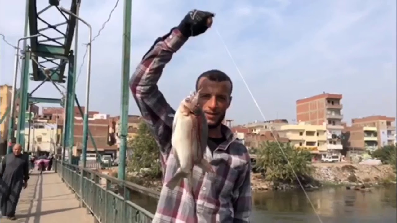 احتراف صيد سمك البلطي المباشر بالتشميط